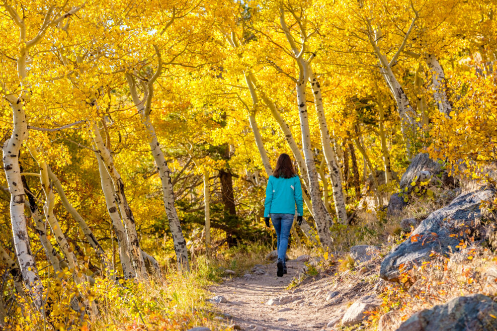 Woman walking on path through woods